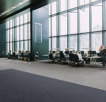Flotex Colour Canyon 50*50 t545019 Canyon Slate фото 2 | FLOORDEALER
